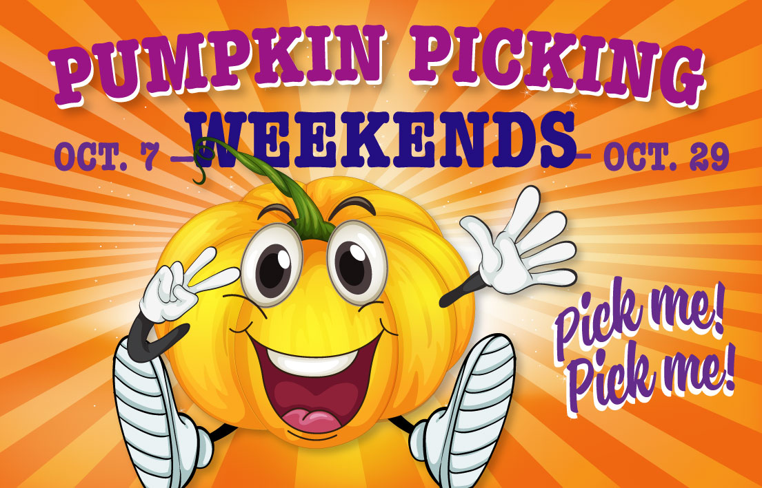  "Discover the Magic of Peter Pumpkin Patch: A Family-Friendly Adventure in the Heart of Autumn"