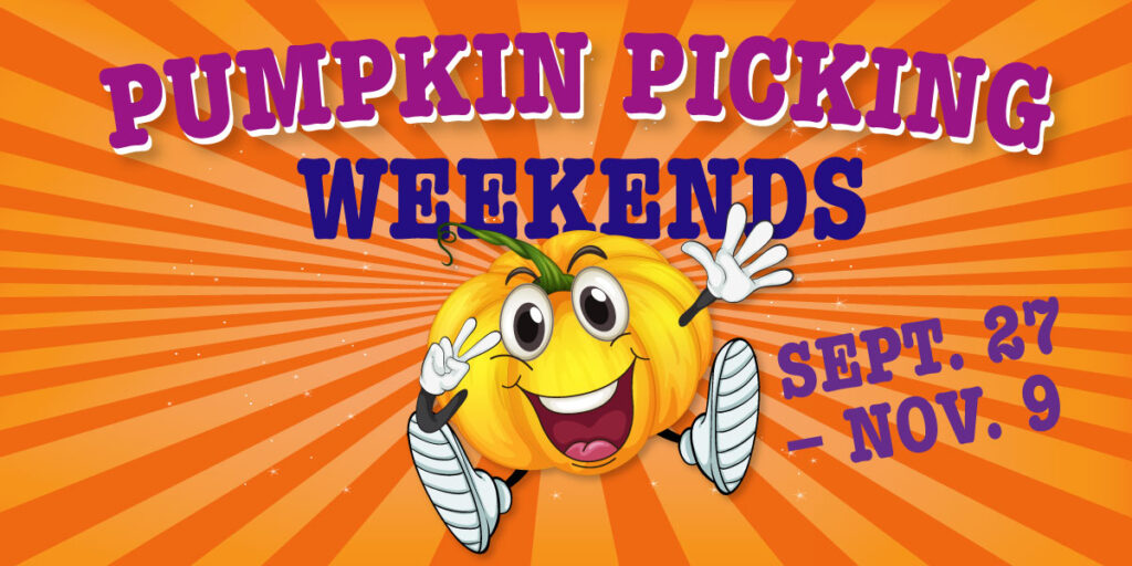 Pumpkin Picking September through November at Alley Pond Park
