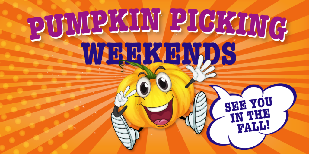 Green Meadows Farm Queens Alley Pond Park Fall Pumpkin Events